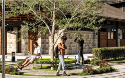 Closing the Year in Style: Top Lifestyle Trends in Luxury Living